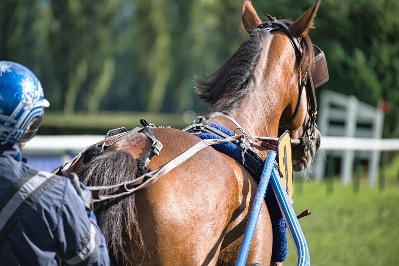 映画『ライド・ライク・ア・ガール』実話のモデルは誰？その後は？映画と比較も紹介