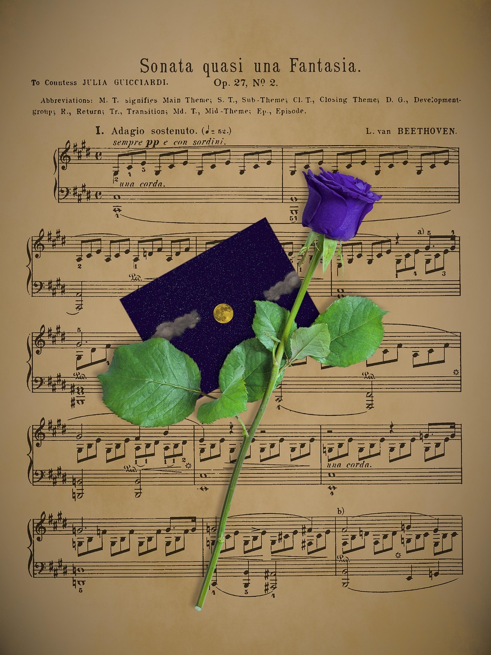 映画「不滅の恋／ベートーヴェン」実話と映画の違いは？ベートーヴェンの生涯も紹介