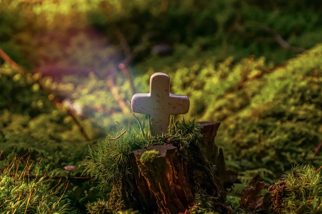 映画「全員死刑」実話の事件とは?史実を映画の違いも解説